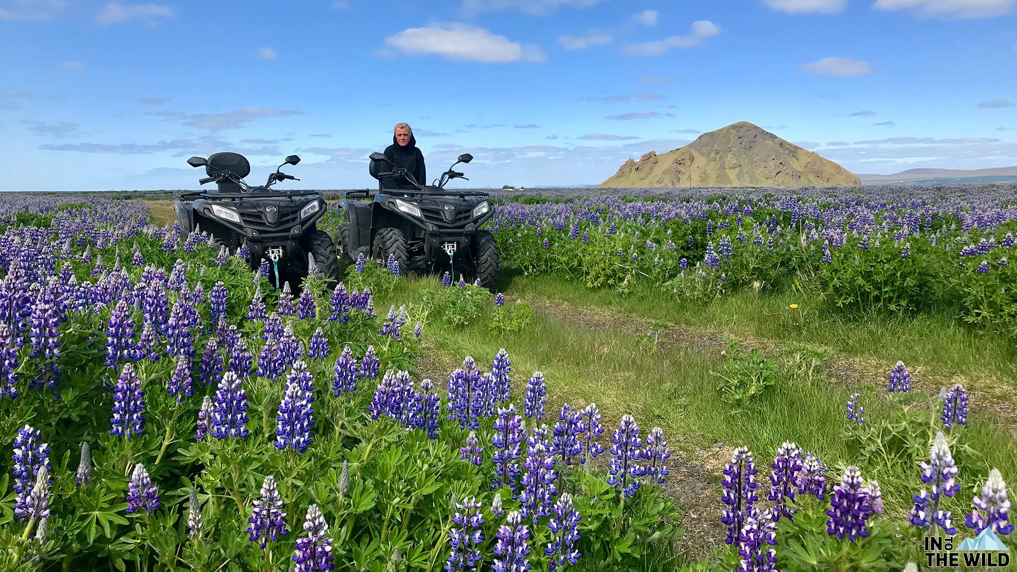 Tour image for Into The Wild Iceland