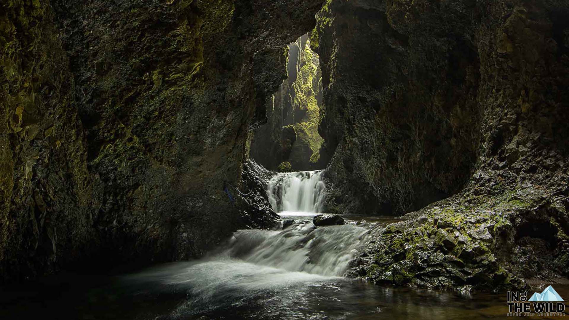 Tour image for Into The Wild Iceland