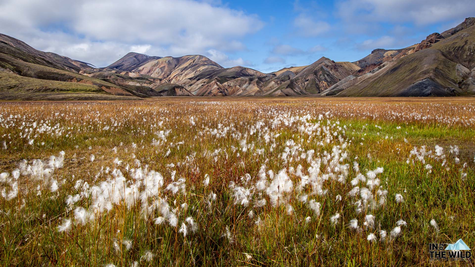 Tour image for Into The Wild Iceland